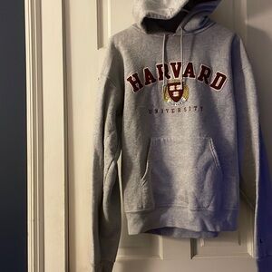 Harvard university eco champion hoodie